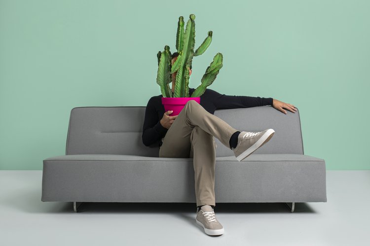Een man zittend op een bank met een cactus op schoot