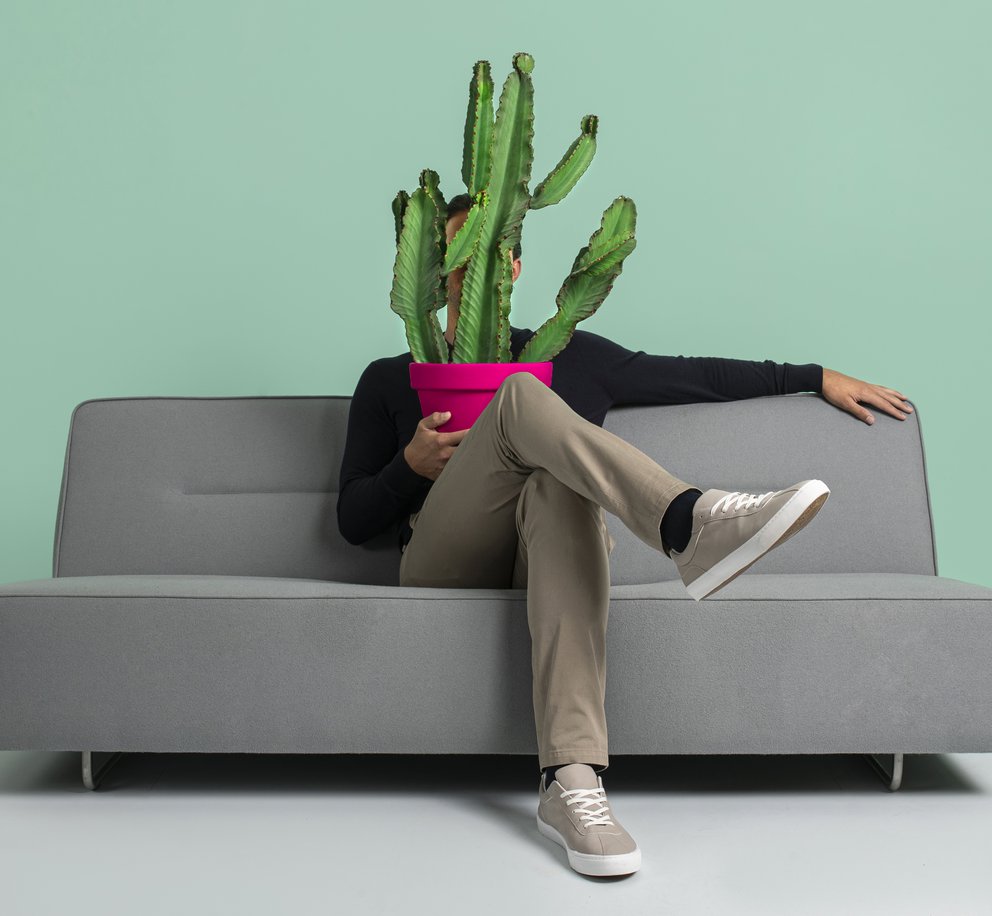 Een man zittend op een bank met een cactus op schoot
